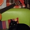 ���� ����, �����-��������� - ��������� 28 ������ 2022 � ������ ���� ����������