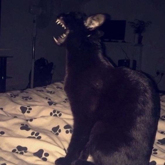 ׸���� ��� - ��� ���� ��������� ���������� ������� - 5