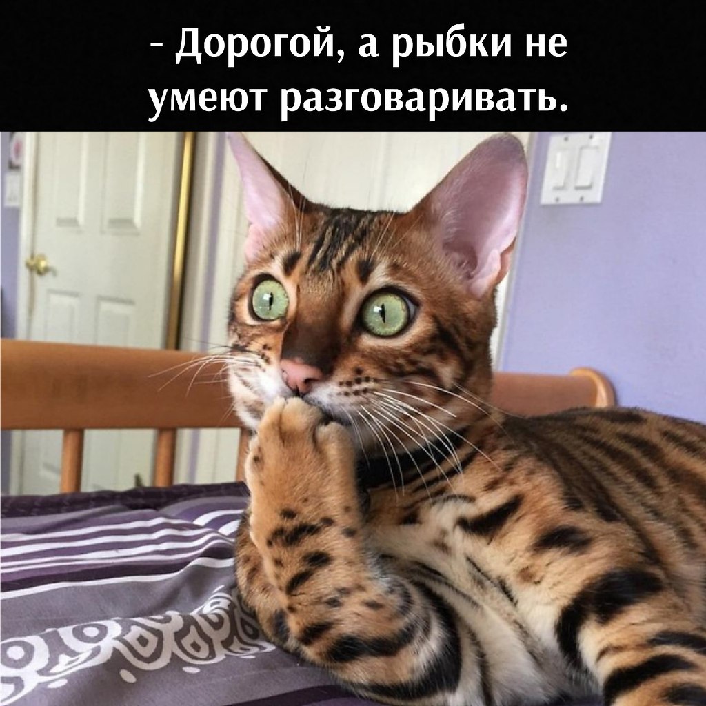       - 20  2021  15:14 - 2