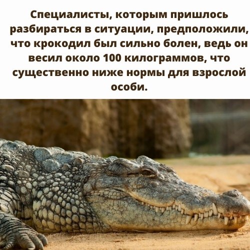    ... - 3