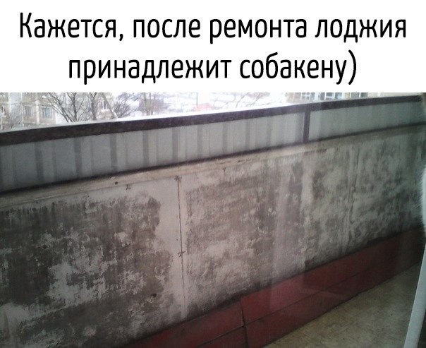 ϸ -  !