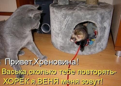    - 9  2021  14:25