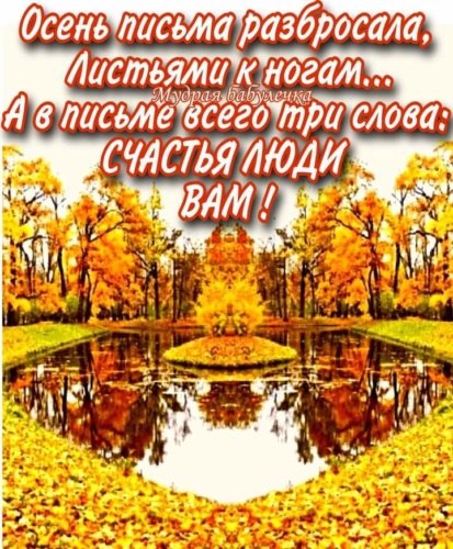   ! - 9  2021  12:11