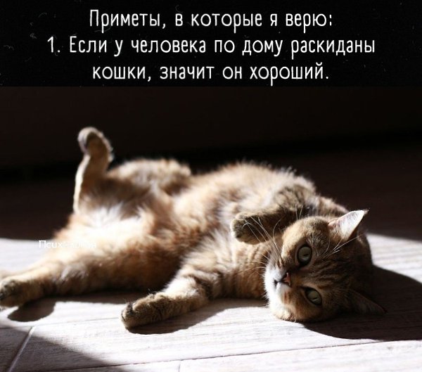  - 7  2021  07:47