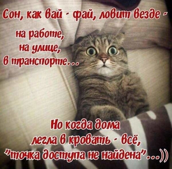   ,    . - 18  2021  22:33 - 7