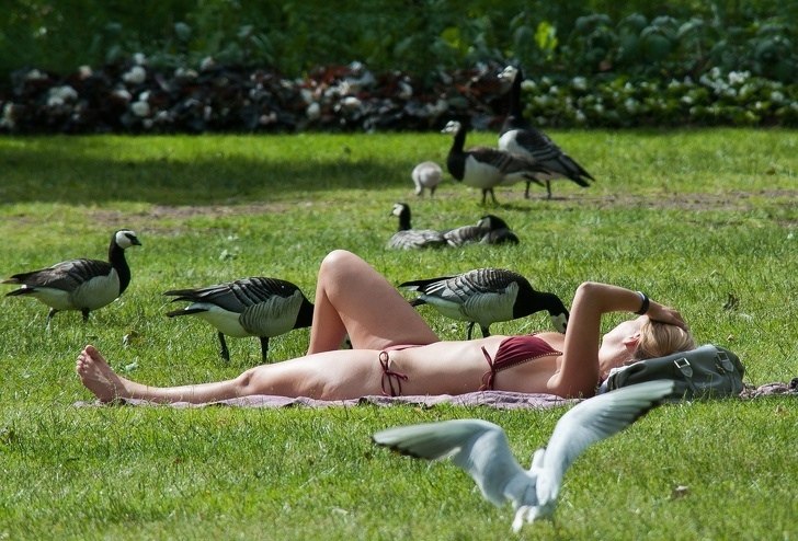 10 6ee   , o px cu p a  n nyu. - 4