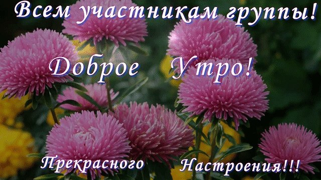   ,    . - 15  2021  19:26 - 8