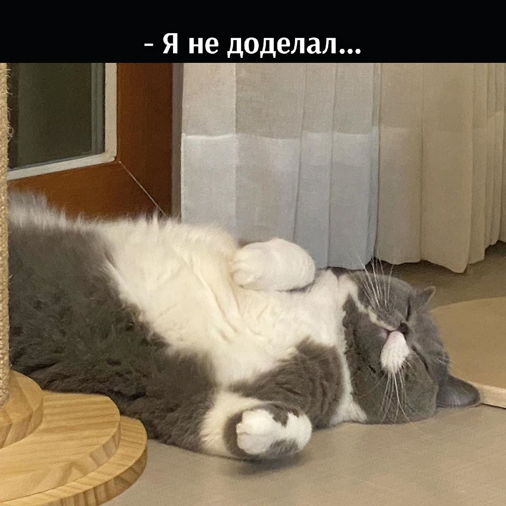       - 14  2021  19:11 - 4