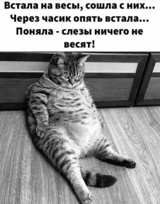  - 21  2021  13:16