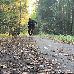 ���� �������, �������, 37 ��� - ��������� 24 ������� 2021