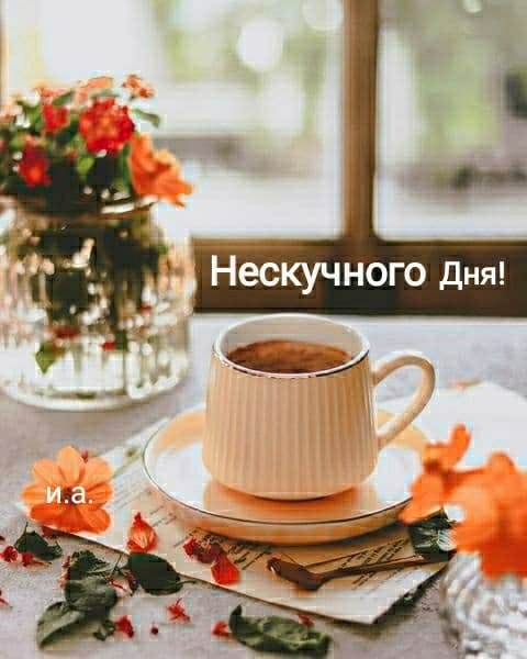   ,    . - 24  2021  08:50 - 3