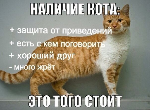    - 2  2021  04:27