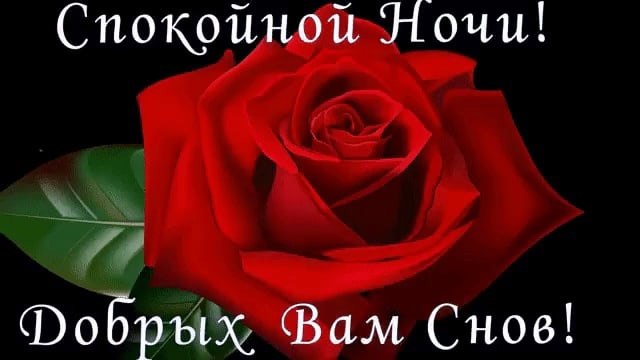   ,    . - 12  2021  22:51 - 7