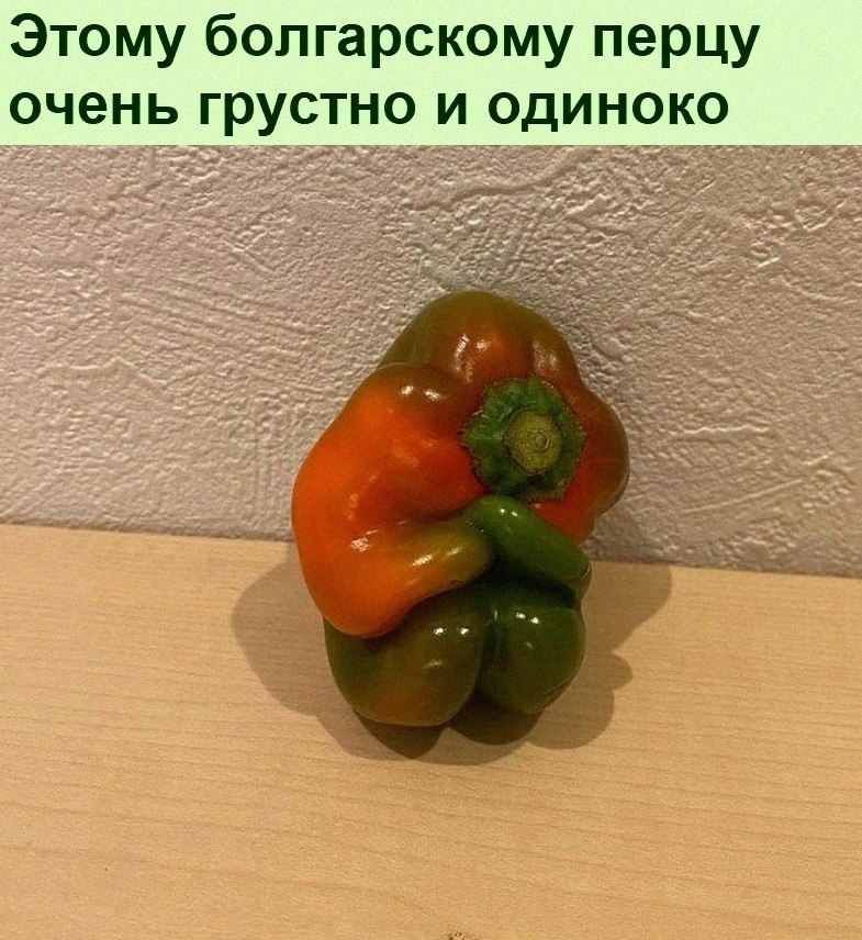   :D - 7  2021  20:33