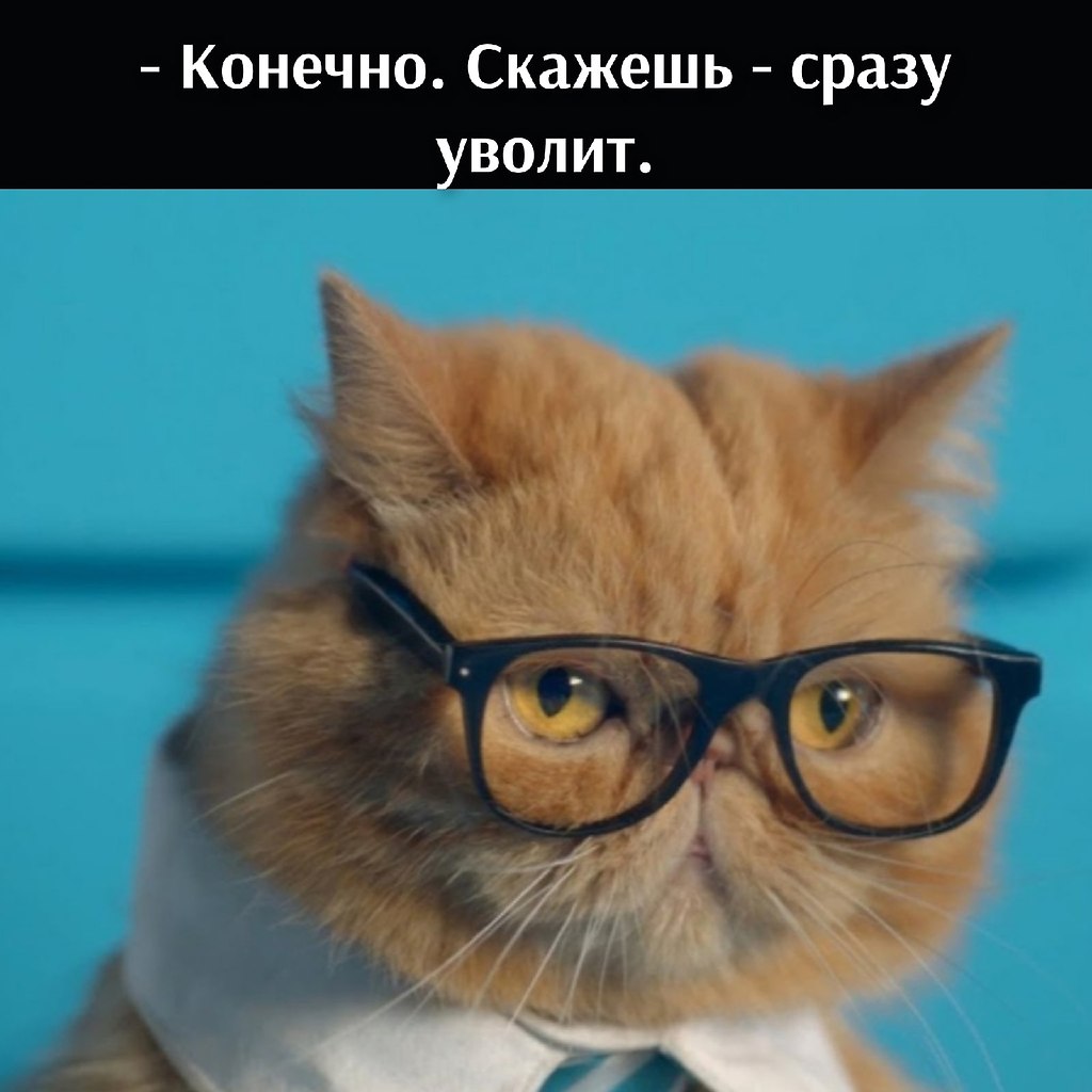       - 7  2021  10:05 - 4