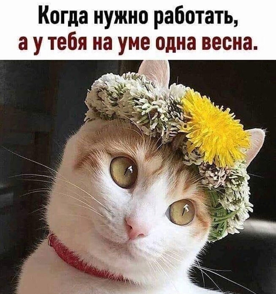  ! - 13  2021  22:41