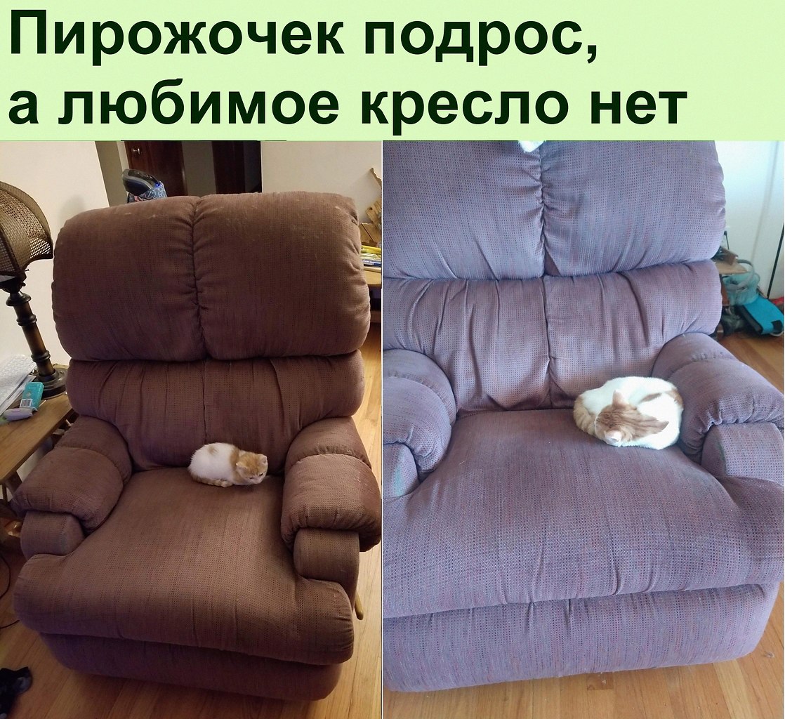   :D - 26  2021  16:45