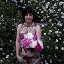 ���� �����, ������ - ��������� 15 ���� 2021 � ������ ���� ����������