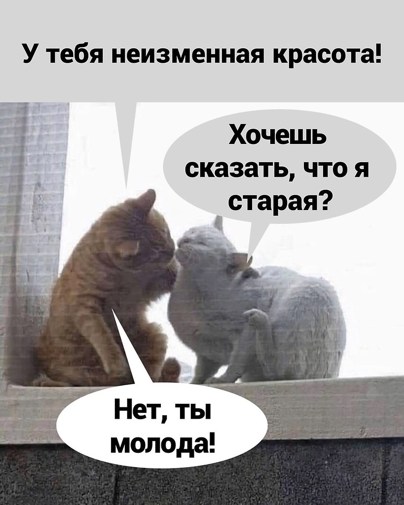  - 6  2021  07:27 - 2