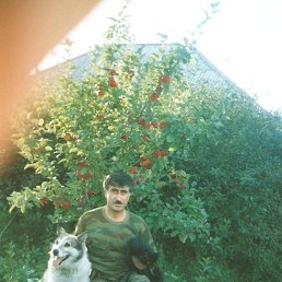 Ma����, �����