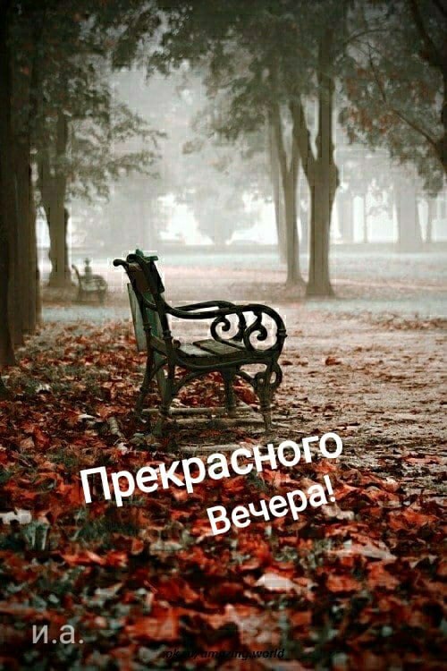   ,    . - 7  2021  19:15 - 2