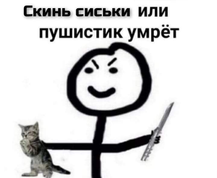  :) - 11  2021  13:26