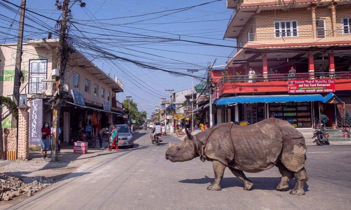 oopa po apo. #art #travel #world - 5