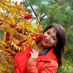 , , 53 