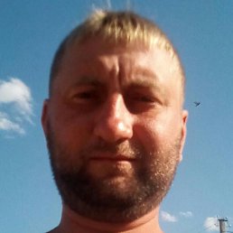 �������, �����-���������, 39 ���