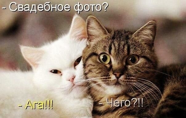 Эти забавные животные - 20 сентября 2021 в 00:12