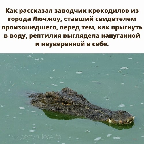    ... - 2