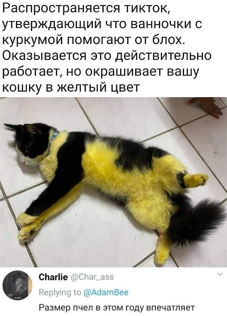      ,  -! 