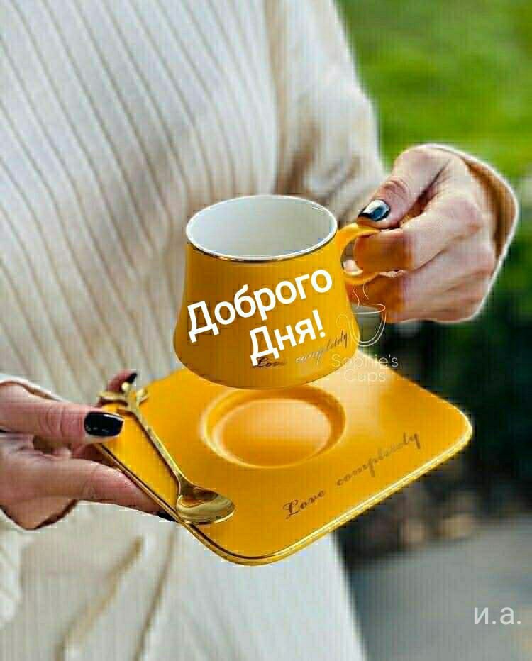   ,    . - 24  2021  08:50