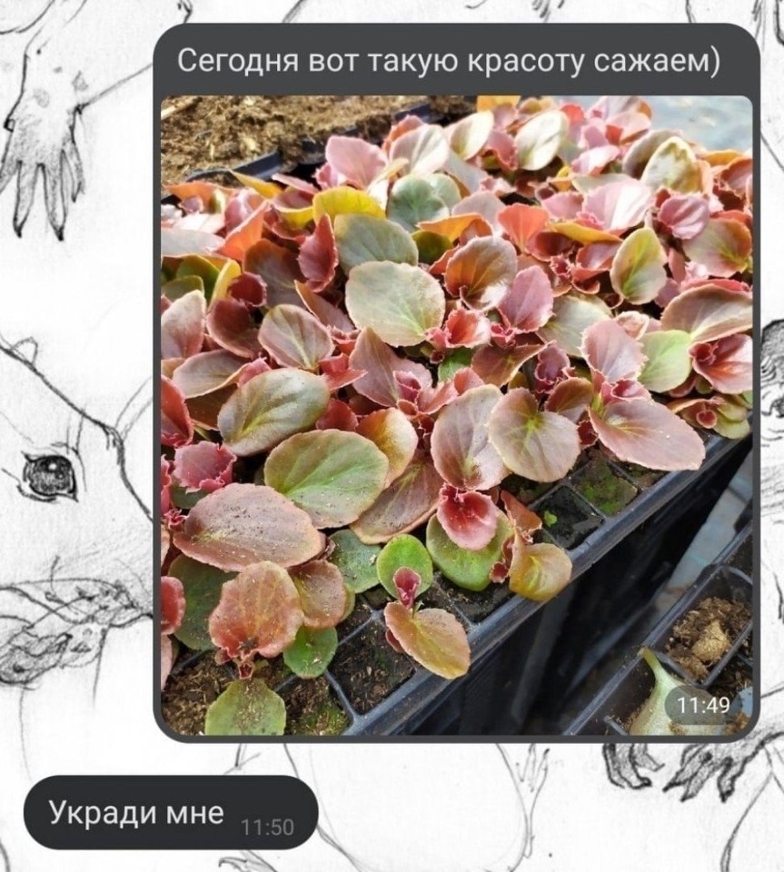        - 2