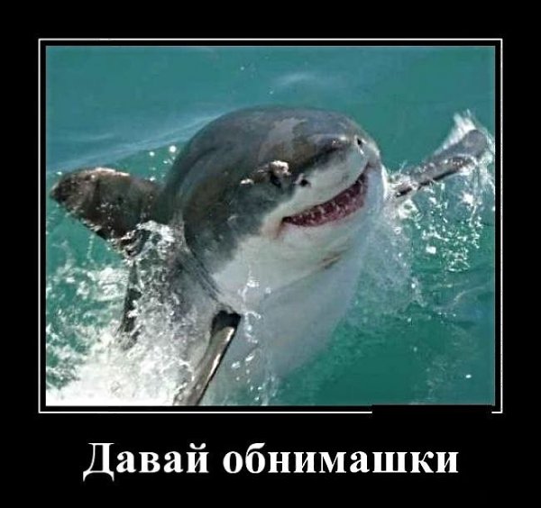 Друзья! Не успели мы отдышаться после Дня поцелуев, как подоспела очередная сексуальная (да-да!) ... - 7