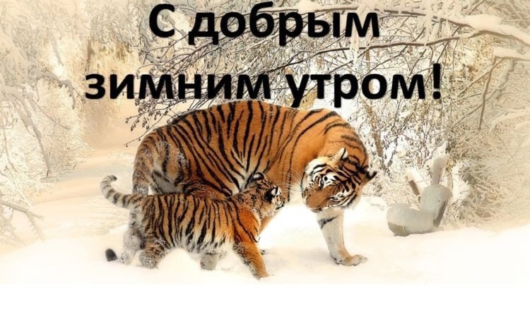   ,    . - 3  2021  00:43 - 6
