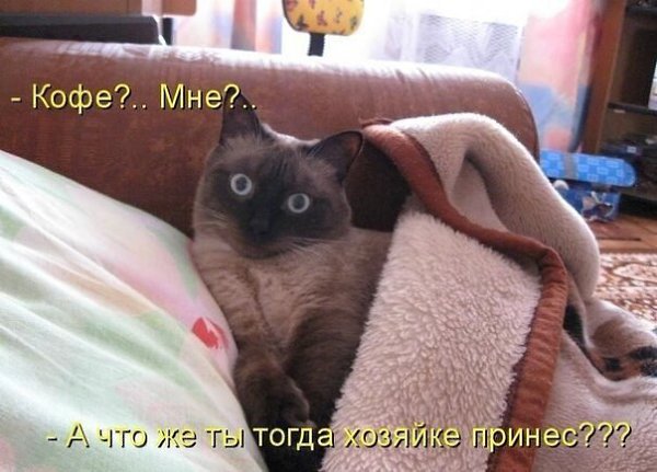    - 10  2021  06:39