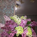 ���� ����, ����� - ��������� 29 ������ 2021 � ������ ���� ����������