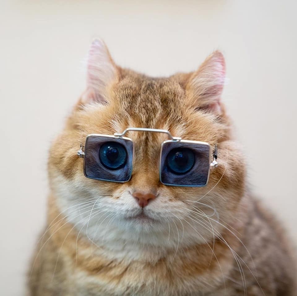 -            ? -  . - ... - 3