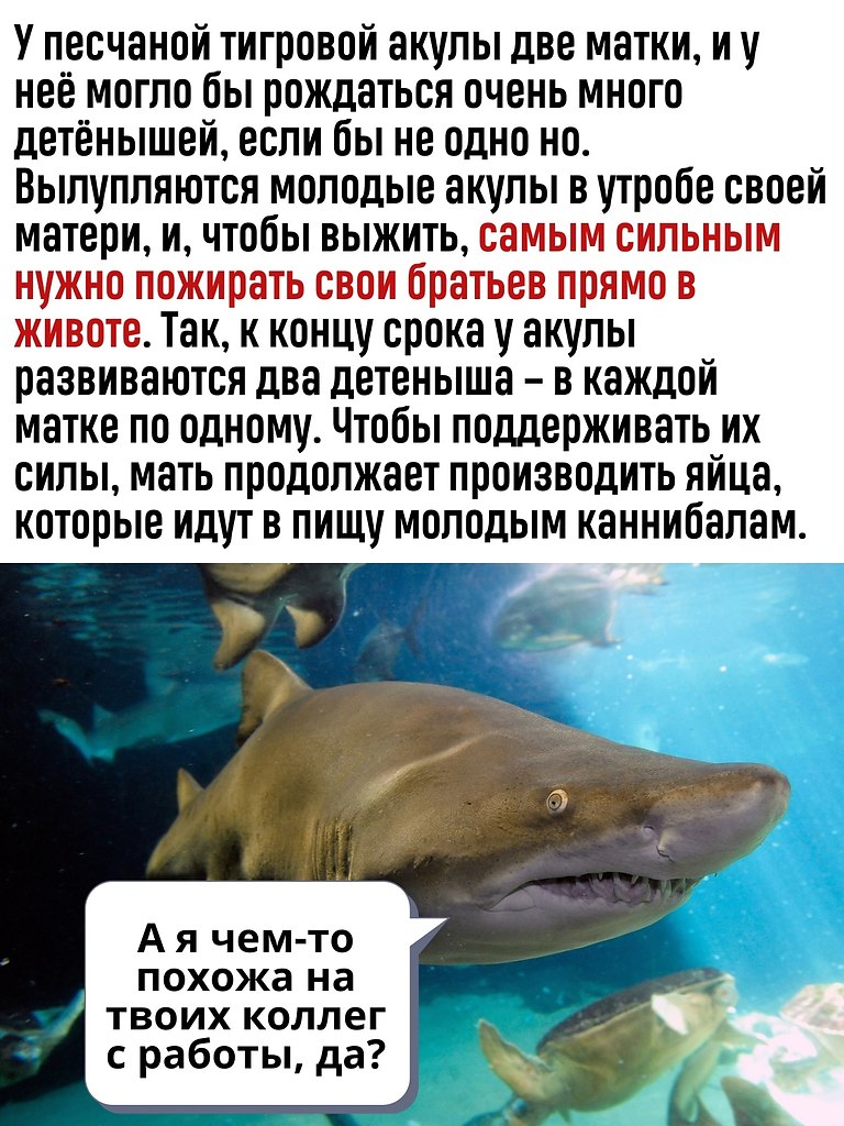   -   - 31  2021  13:04