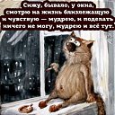 ���� ���������, ����, 35 ��� - ��������� 13 ������ 2022 � ������ ���� ����������