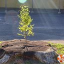 ��������� ����� ����... �� ������� �������