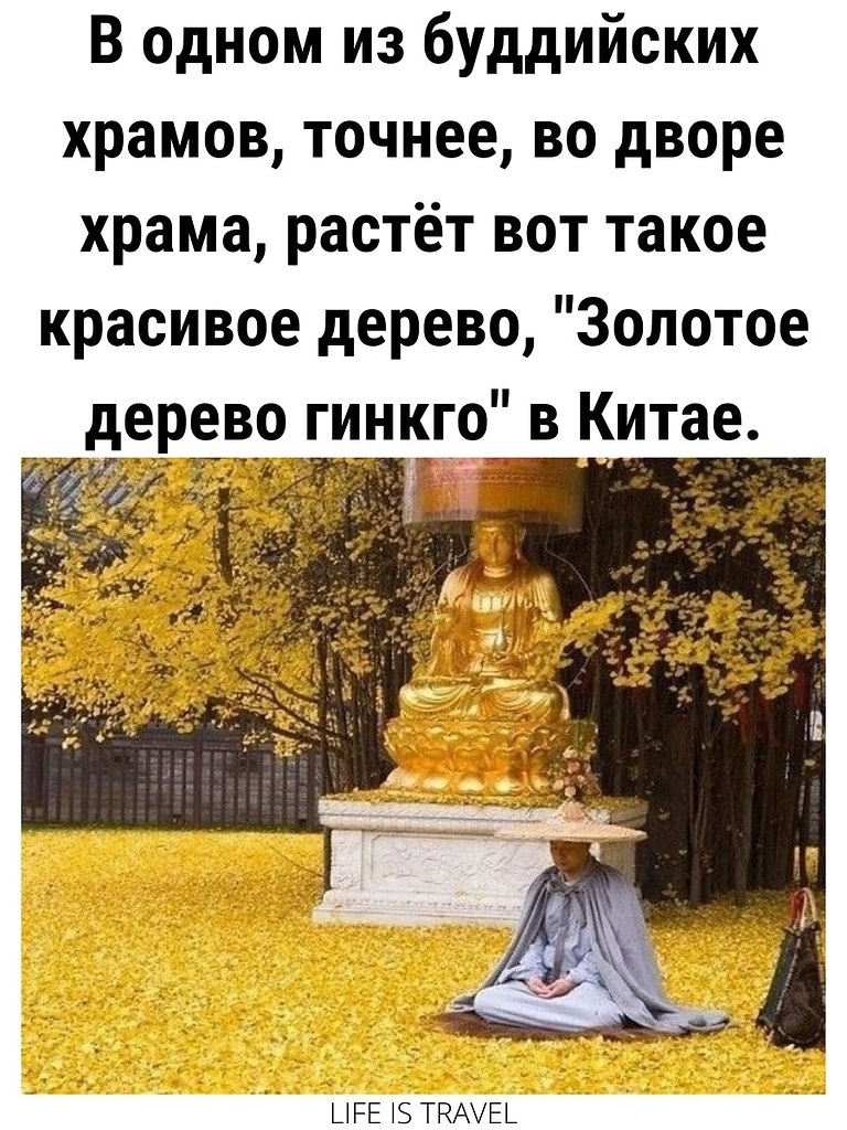 LIFE -  - 7  2022  10:08