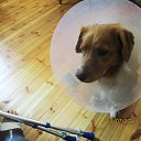 ���� ��������, Kouvola, 78 ��� - ��������� 20 ���� 2021 � ������ ������ � ������ ������...�