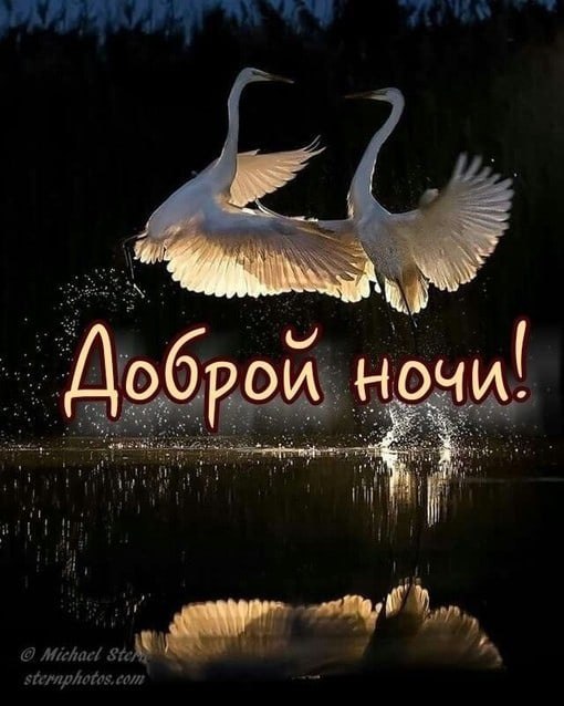   ,    . - 27  2021  21:42 - 7