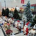  ,  , 50  -  20  2021    