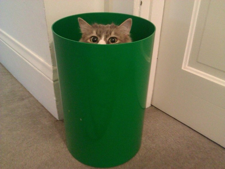 ,      )))