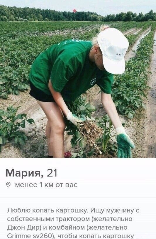   ,         : - 2