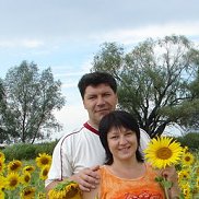 , 62 , 
