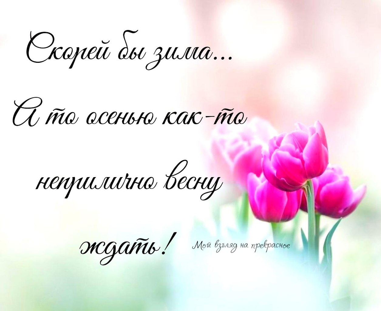   ,    . - 9  2021  22:05 - 4